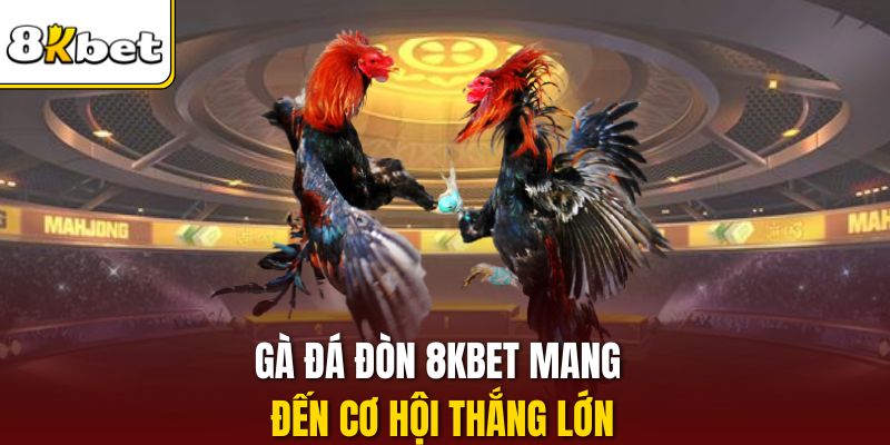 Gà đá đòn 8KBET mang đến cơ hội thắng lớn
